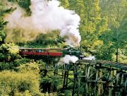 Puffing Billy Heritage Steam Train Journey